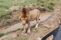3 days safari in North- Ngorongoro, Tarangire, Mt. Oldeani