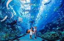 Dubai Mall Aquarium & Underwater Zoo Ticket with Private Transfer