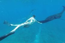 Bali Private Snorkeling (Manta, Gamat, Wall) and Nusa Penida Tour