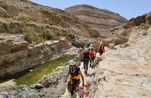 Full-Day Guided Canyoning Adventure in Wadi Salaita