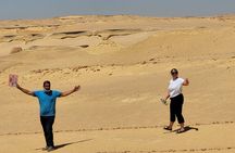 Fayoum Adventure: Whales Valley,4x4 Desert Safari & Wadi Rayan 