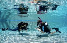 PADI Open Water Course in Cabo San Lucas