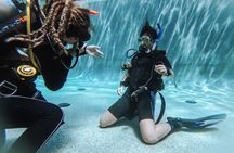 PADI Open Water Course in Cabo San Lucas