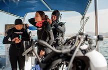 PADI Open Water Course in Cabo San Lucas
