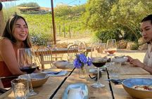 Quiero mas vino, valle de Guadalupe Tours