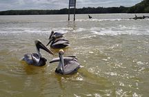 Full Day Tour Río Lagartos with Pickup from Mérida 7 AM