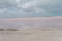 Full Day Tour Río Lagartos with Pickup from Mérida 7 AM