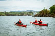 Guided Kayak Tour Bergen