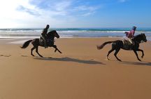 1 hour horse ride on the beach of essaouira