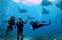PADI Open water Course in Lembongan - Get certified & dive anywhere in the world