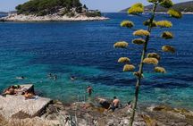 Full-Day Hvar & Pakleni Islands Speedboat Private Tour from Split