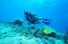 PADI Open water Course in Lembongan - Get certified & dive anywhere in the world