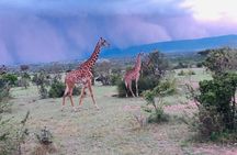 7 Days Kenyan Safaris