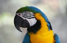 Iquitos Jungle Tour for 3 Days