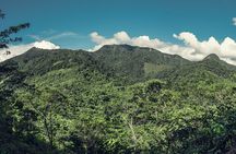 Iquitos Jungle Tour for 3 Days