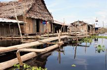 Iquitos Jungle Tour for 3 Days