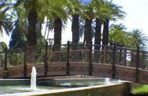 Ali Baba Oasis And The Old Medina Of Taroudant Private Day Tour 