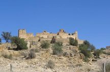 Ali Baba Oasis And The Old Medina Of Taroudant Private Day Tour 