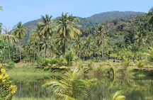 4 Days Iquitos Peru Tour