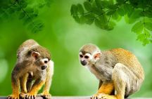 4 Days Iquitos Peru Tour