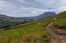 Stellenbosch Hike & Wine Tasting