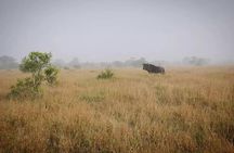 Full Day Kruger Park Wildlife Safari from Hoedspruit