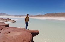 Small-Group Tour Altiplanic Lagoons Red Stones & Flamingo Reserve