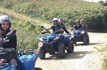 Quad excursions in the heart of Sicily