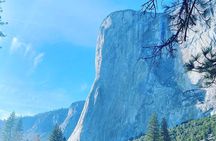 Semi Private Yosemite Valley Tour with Hotel Pick Up and Lunch