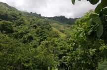 Passion Fruit and El Saltillo Waterfall Tour