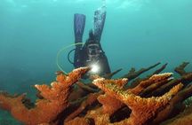 Scuba Tour for Certified Divers in San Juan