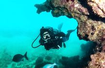 Scuba Tour for Certified Divers in San Juan