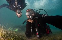Scuba Tour for Certified Divers in San Juan