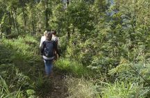 Mindful and Compassionate Nature Walk