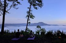 Mindful and Compassionate Nature Walk