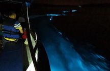 Amazing Fireflies With Blue Tears Watching & Kuala Selangor Tour