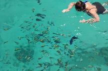 From Dubai to Norway of Arabia | KHASAB | Telegraph Island | OMAN
