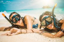 Small-Group Snorkel Adventure in San Jose del Cabo