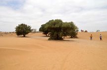 Full-Day Small-Group Jeep Tour in Souss Massa with Lunch