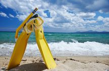 Small-Group Snorkel Adventure in San Jose del Cabo