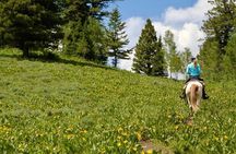 Moose Meadow Breakfast Ride