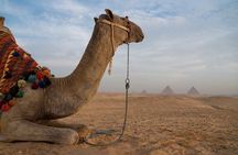 Full Day Tour to Giza Pyramids, Sphinx, Egyptian Museum, Khan el-Khalili Bazaar