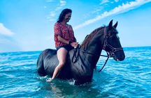 3-hour Horseback Ride Mountain and Beach Morocco
