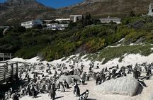 Full Day Cape Peninsula, Cape Point Tour