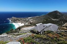 Full Day Cape Peninsula, Cape Point Tour