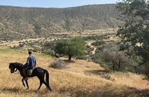 3-hour Horseback Ride Mountain and Beach Morocco
