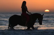 3-hour Horseback Ride Mountain and Beach Morocco