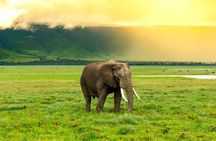 Ngorongoro Crater Exclusive: A Journey into Africa’s Eden