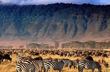 Ngorongoro Crater Exclusive: A Journey into Africa’s Eden