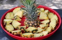 Unlimited Guided Kayaking and Snorkeling Tour-Olowalu